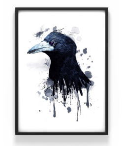Poster 50x70 Fågel